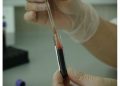 experimento genético